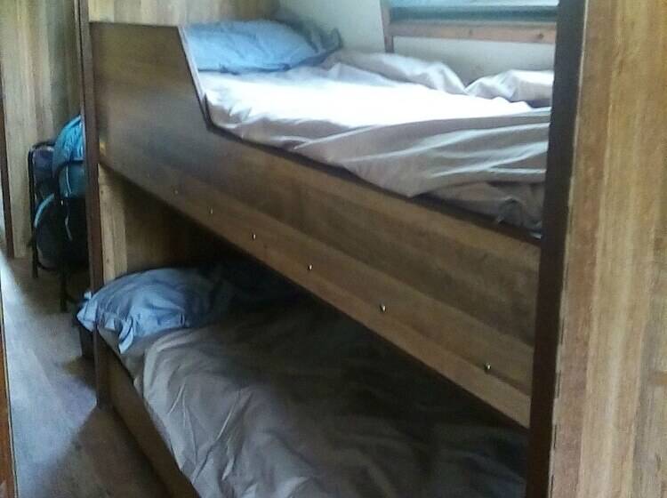 פונדק Ellis Belle