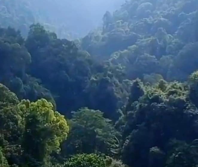 פונדק Karang Aji Beach Villa