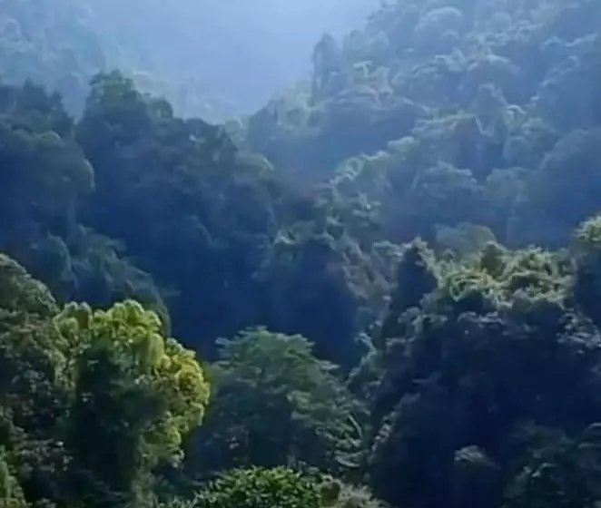 Hostal Karang Aji Beach Villa