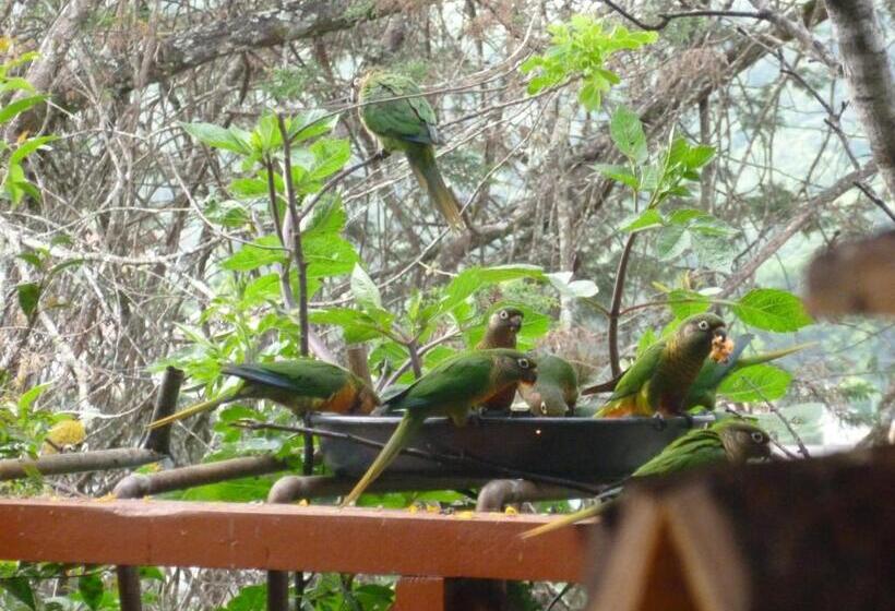 Fogadó Pousada Dos Esquilos
