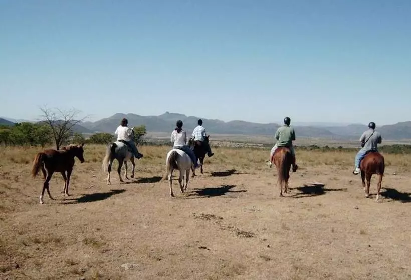 簡易ホテル Roydon Private Game Reserve