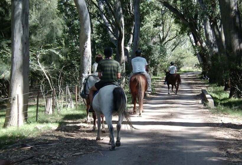 פונדק Roydon Private Game Reserve