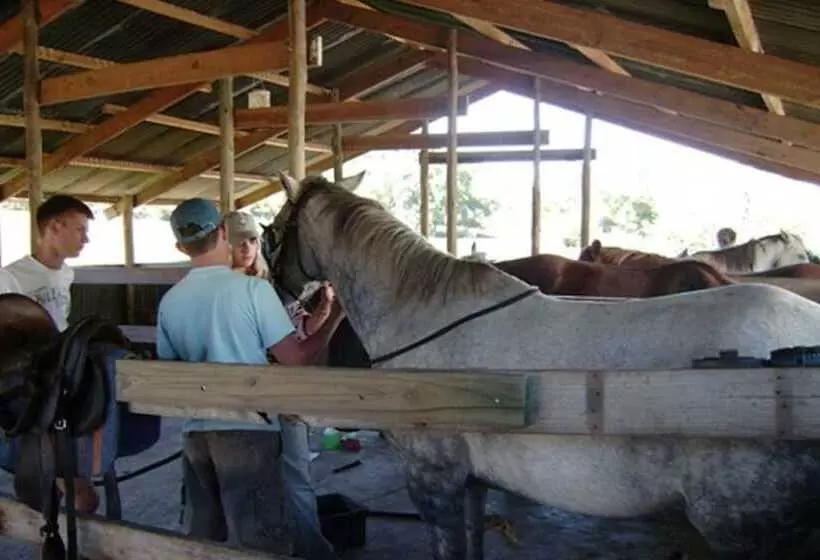 簡易ホテル Roydon Private Game Reserve