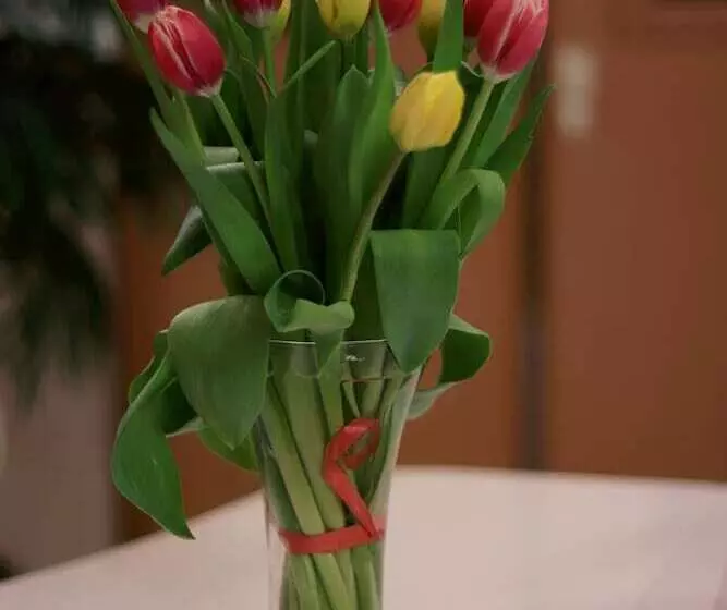 ホテル Fort Kolesnik