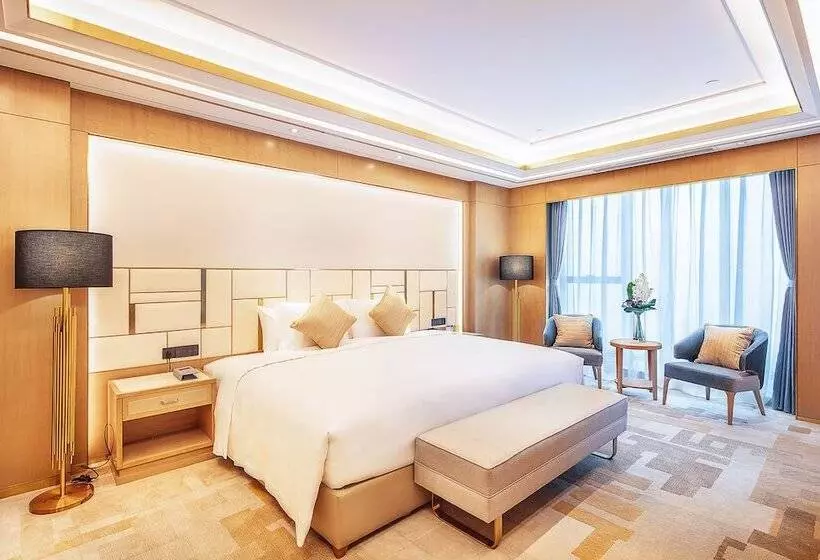 Hotelli Howard Johnson New District Plaza Ziyang