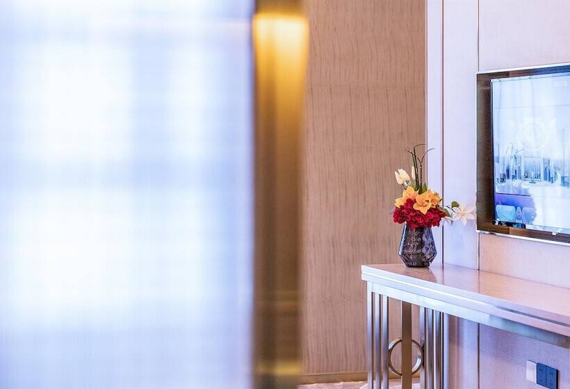 호텔 Howard Johnson New District Plaza Ziyang