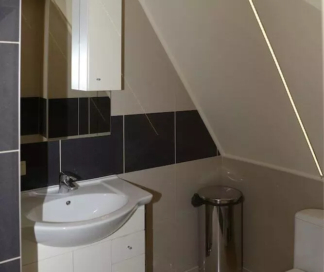 Hotelli Pałac Dąbrowa