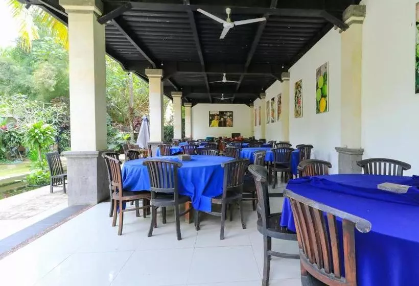 ベッドアンドブレックファースト Purnama