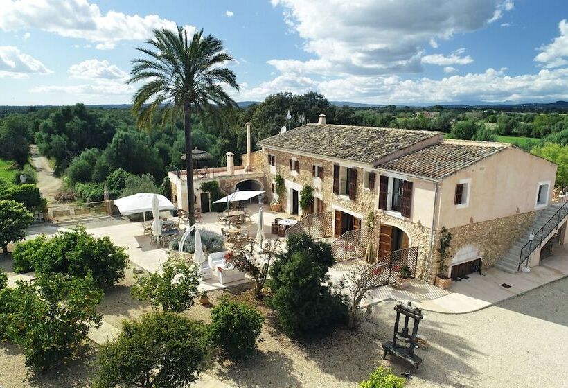 فندق فئة نجمة واحدة Agroturismo Fincahotel Son Pou Ag/322