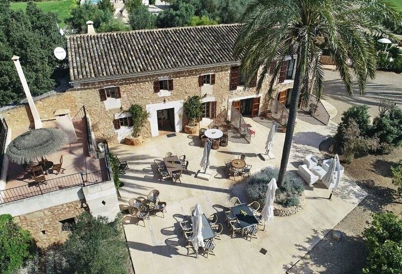 فندق فئة نجمة واحدة Agroturismo Fincahotel Son Pou Ag/322