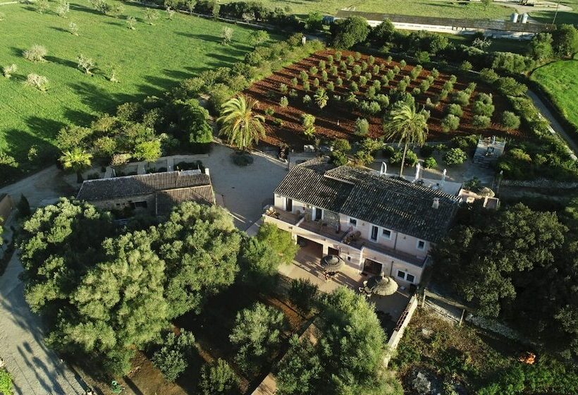فندق فئة نجمة واحدة Agroturismo Fincahotel Son Pou Ag/322
