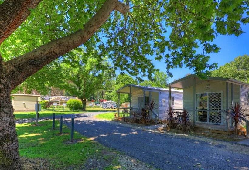 簡易ホテル Myrtleford Holiday Park