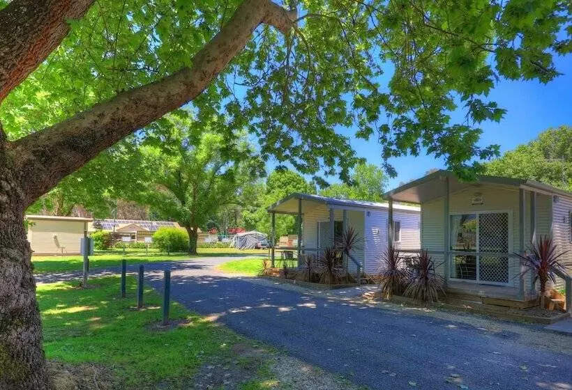 簡易ホテル Myrtleford Holiday Park