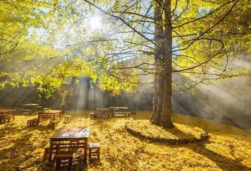 Hostelli Tengchong Ginkgo Village Bencai