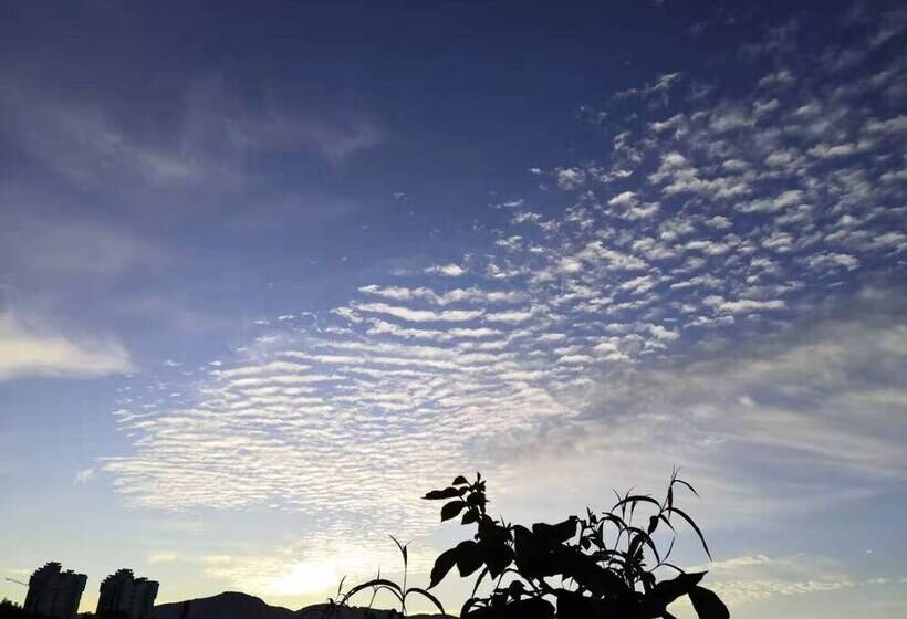 여관 Tengchong Ginkgo Village Bencai