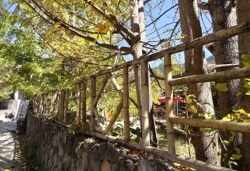 Hostelli Tengchong Ginkgo Village Bencai