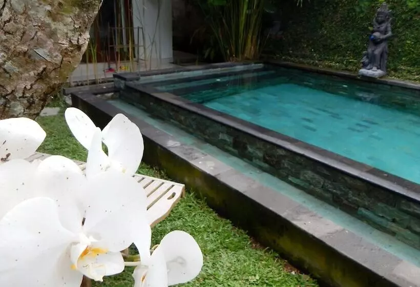 簡易ホテル Uma Loka Villa