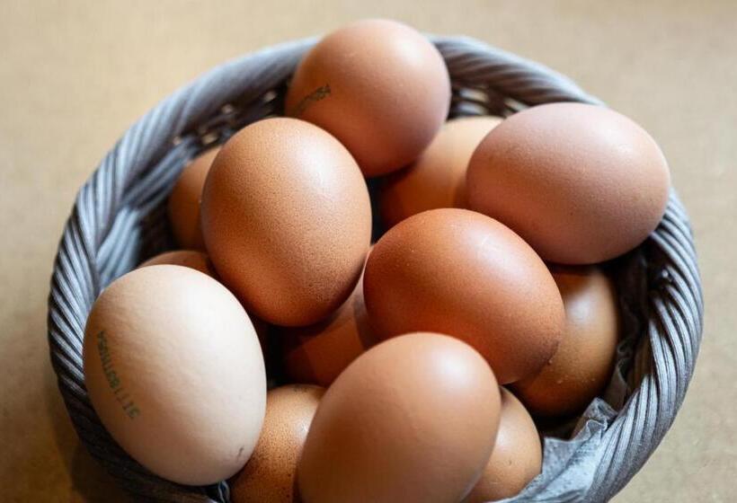 בית מלון כפרי Bel Sit