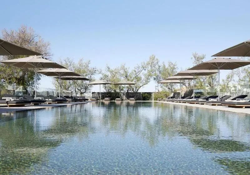 Hotelli Plage Palace & Spa