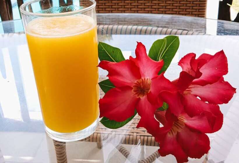 فندق فئة نجمة واحدة Pontal Das Estrelas