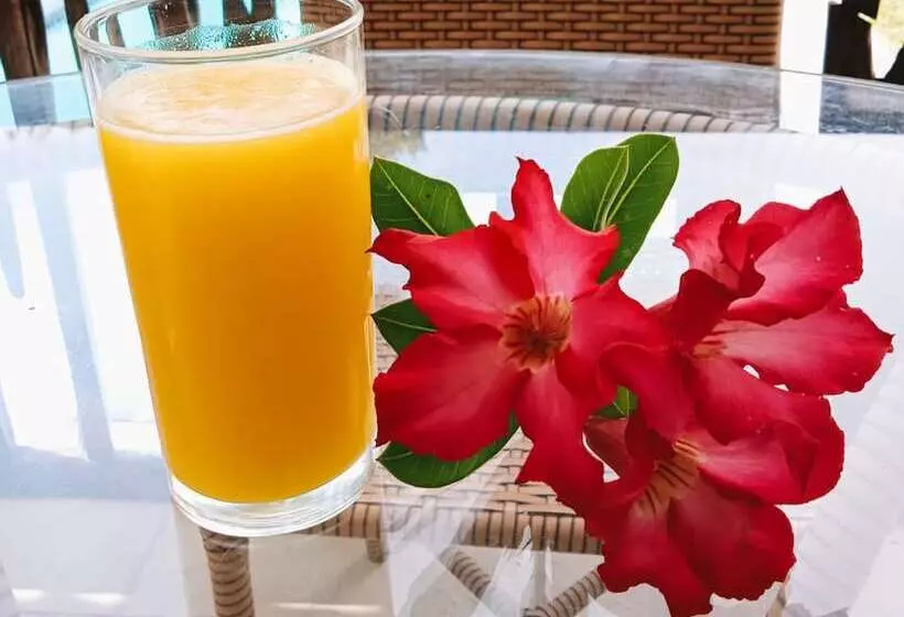 Hostelli Pontal Das Estrelas