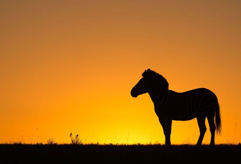 Отель Riverdene Family Lodge