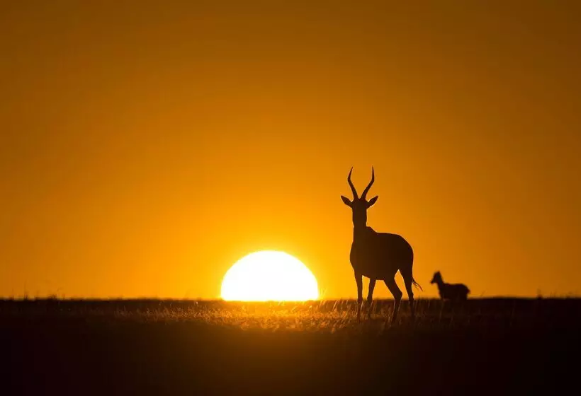 Hotelli Riverdene Family Lodge