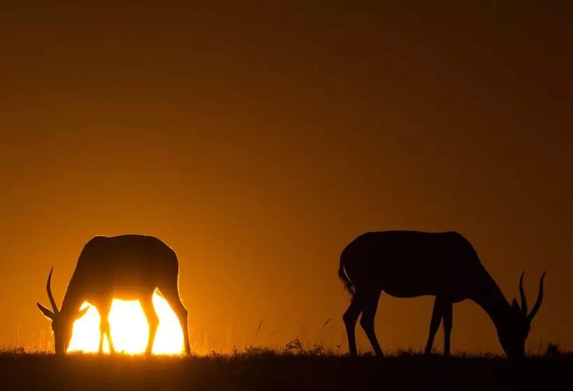 Hotelli Riverdene Family Lodge