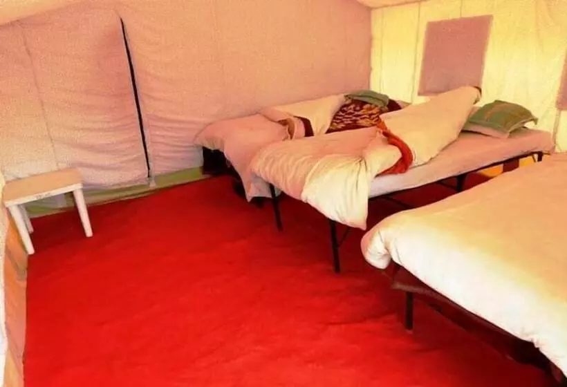 Hostelli Wonderland Camps