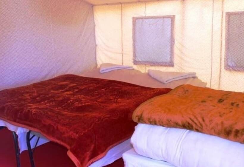 Herberg Wonderland Camps