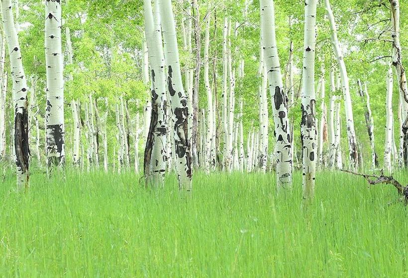 فندق فئة نجمة واحدة Perry Mansfield - Sagebrush Cabin