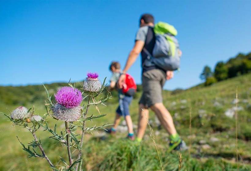 فندق فئة نجمة واحدة Perry Mansfield - Sagebrush Cabin