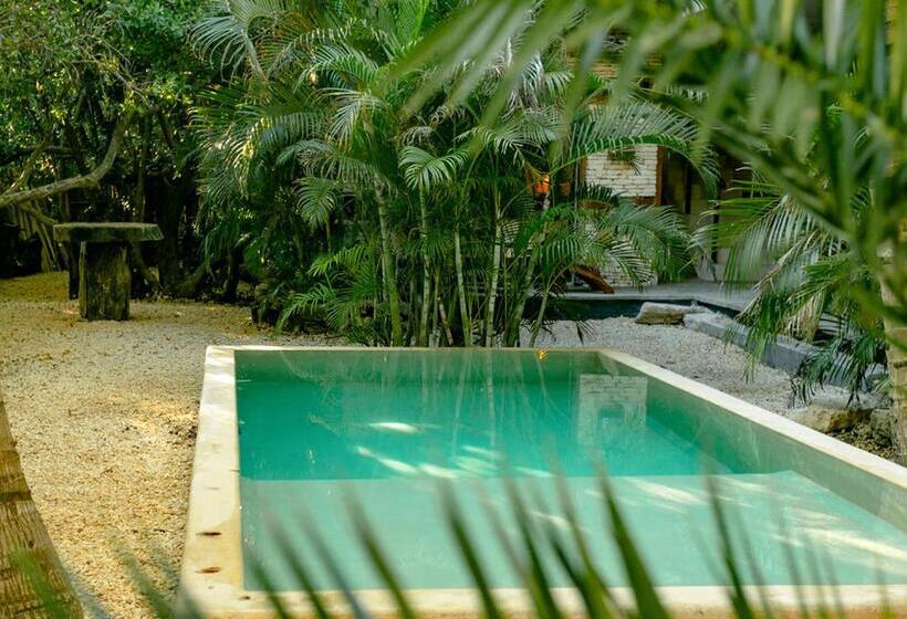 景色の見えるスーペリアルーム, Be Tulum