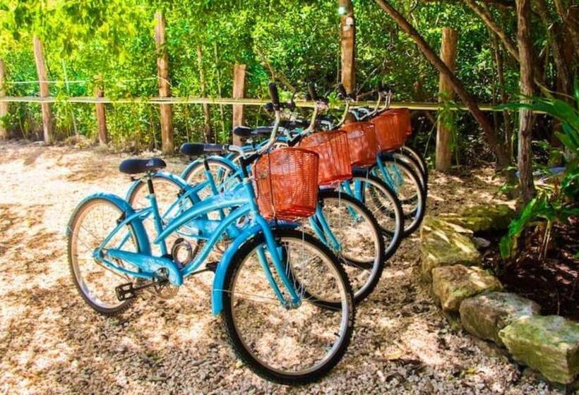 景色の見えるデラックスルーム, Be Tulum