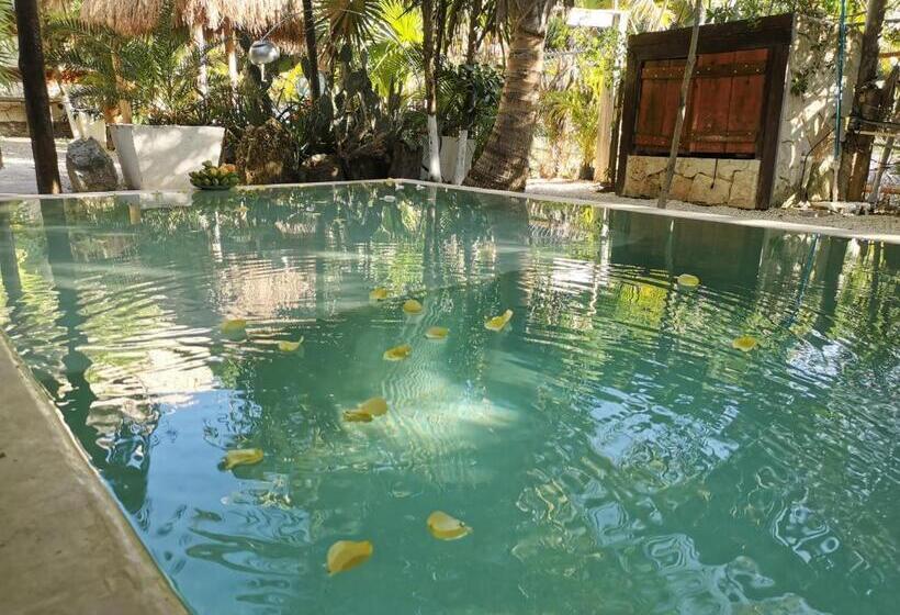 ビュー有りのスタンダードワンルーム, Be Tulum