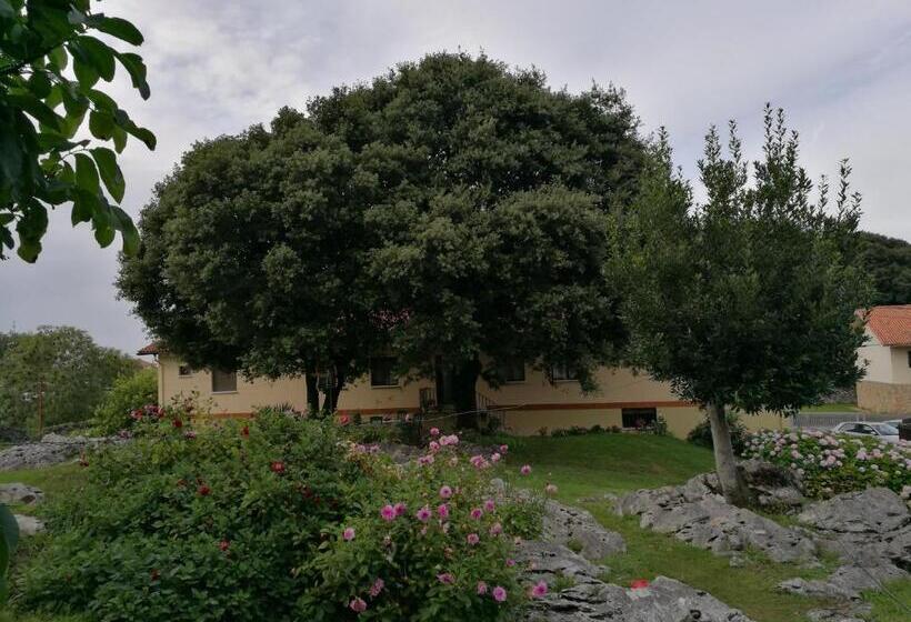 غرفة قياسية, La Encina Celorio Llanes