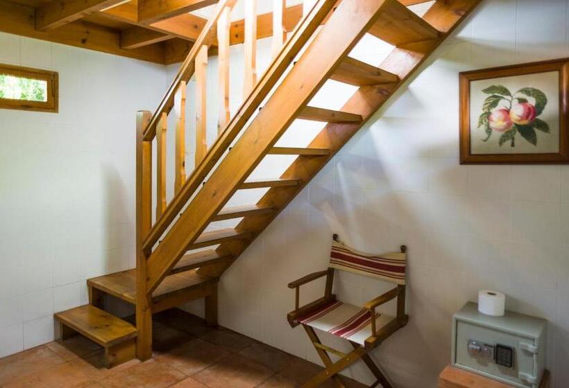 חדר בסיסי מיטה זוגית, La Posada De Babel