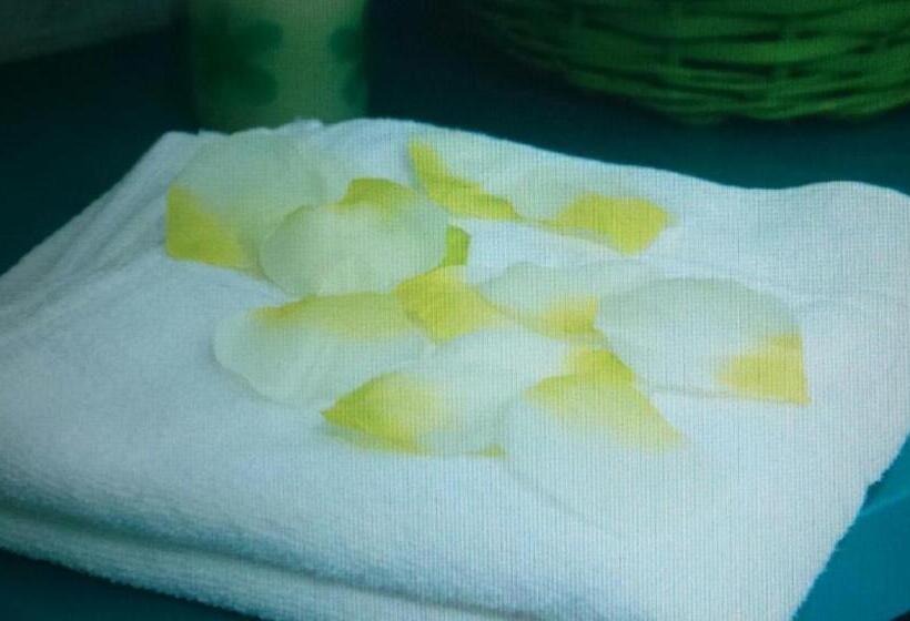 스탠다드 싱글 룸, Alojamiento Calzada Romana