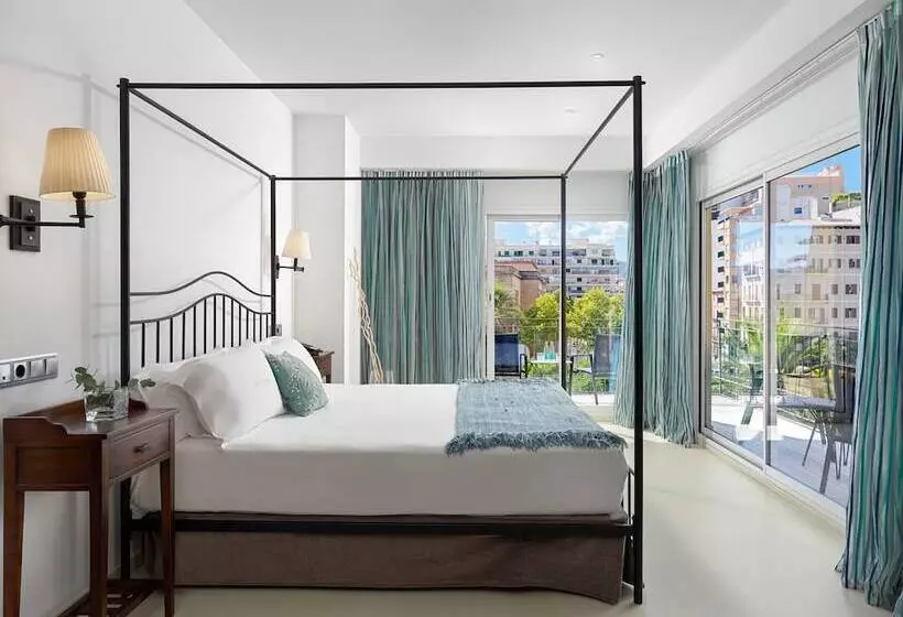 Suite, Saratoga