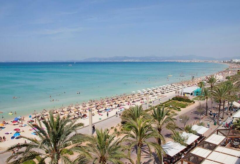 غرفة ديلوكس مطلّة علي البحر, Aya Seahotel   Adults Only