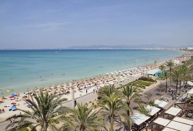 سوییت با چشم‌انداز دریا, Aya Seahotel   Adults Only