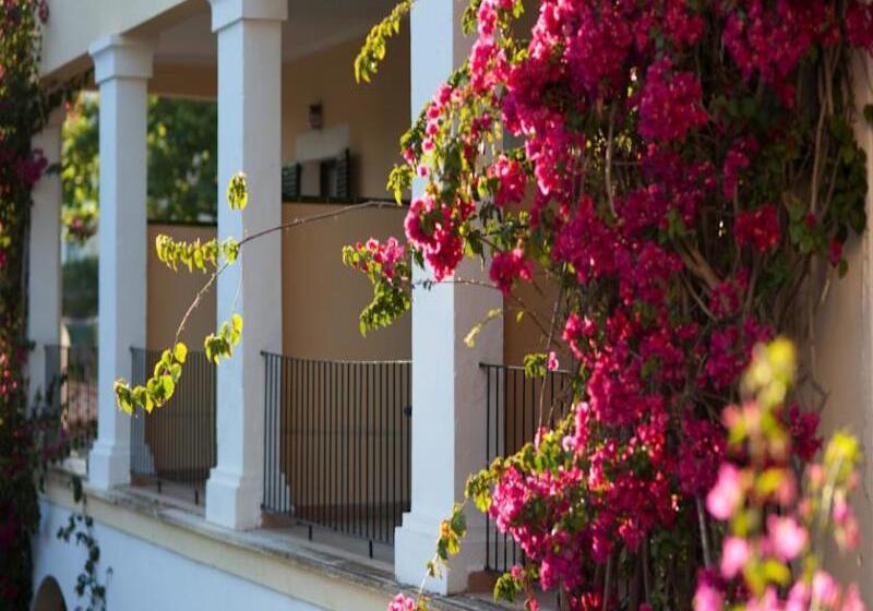 اتاق استاندارد, Bahia