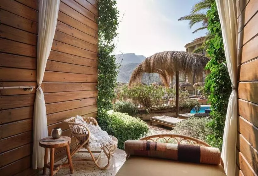 اتاق استاندارد با تراس, Bikini Island & Mountain Port De Soller Adults Only