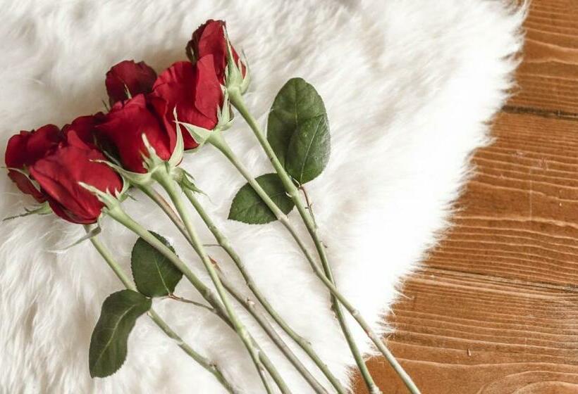 اتاق استاندارد, Eurostars Acteon