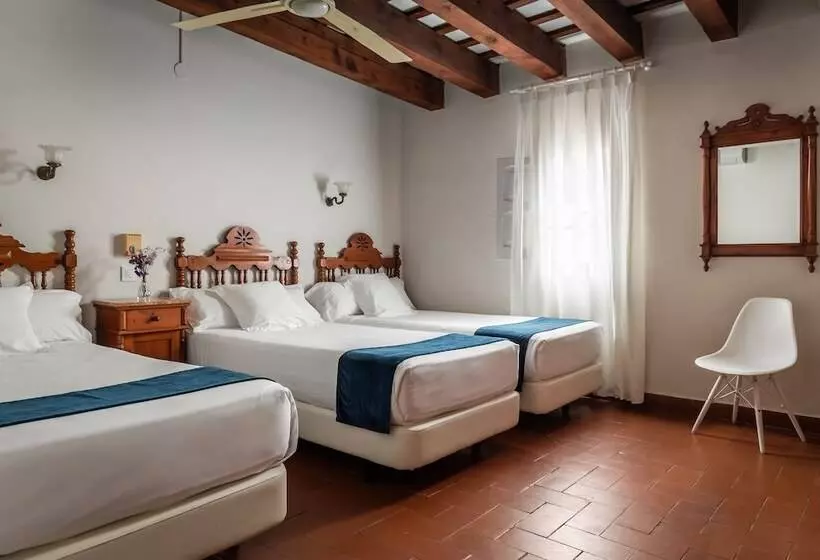 Quarto Triplo Standart, Medium Renaixença