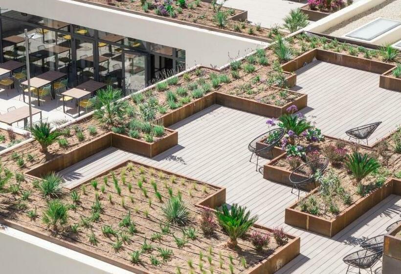 اتاق سوپریور, Paradiso Garden