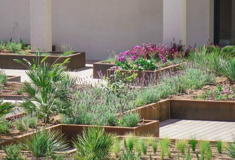 اتاق پرمیوم, Paradiso Garden