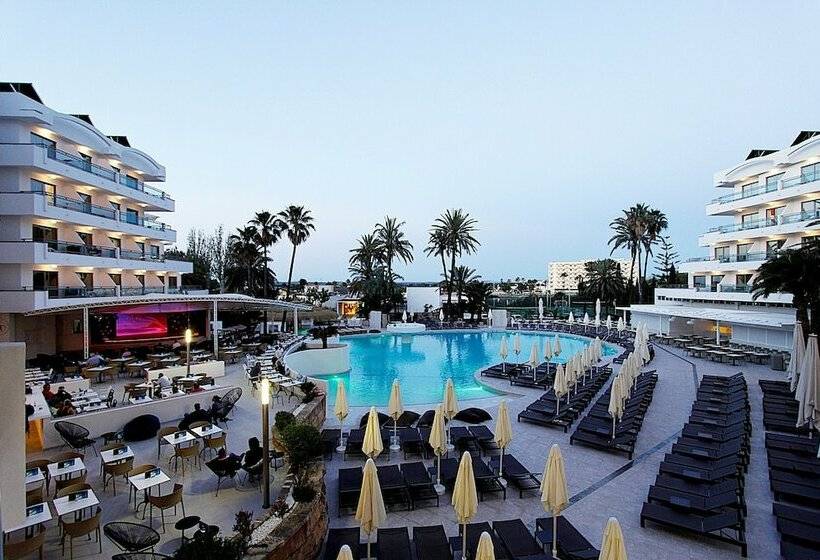 سوییت, Bg Rei Del Mediterrani