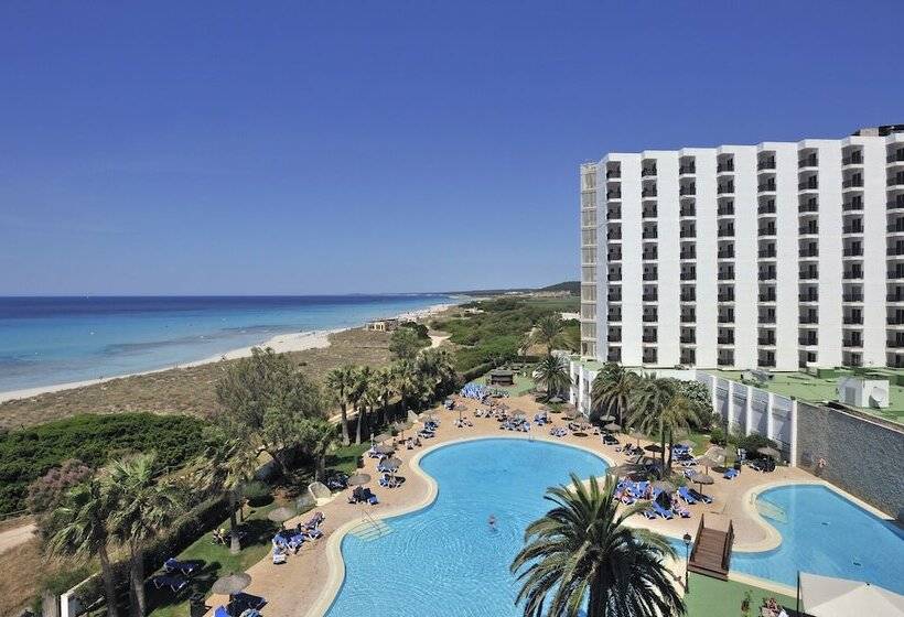 标准间, Sol Milanos Pingüinos