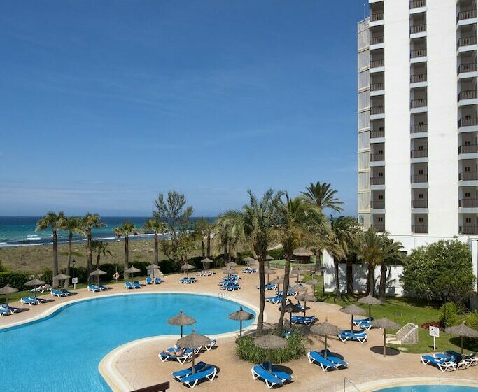 غرفة قياسية, Sol Milanos Pingüinos